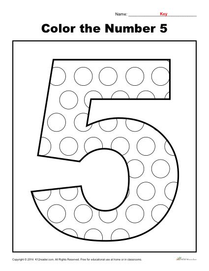 worksheet 5