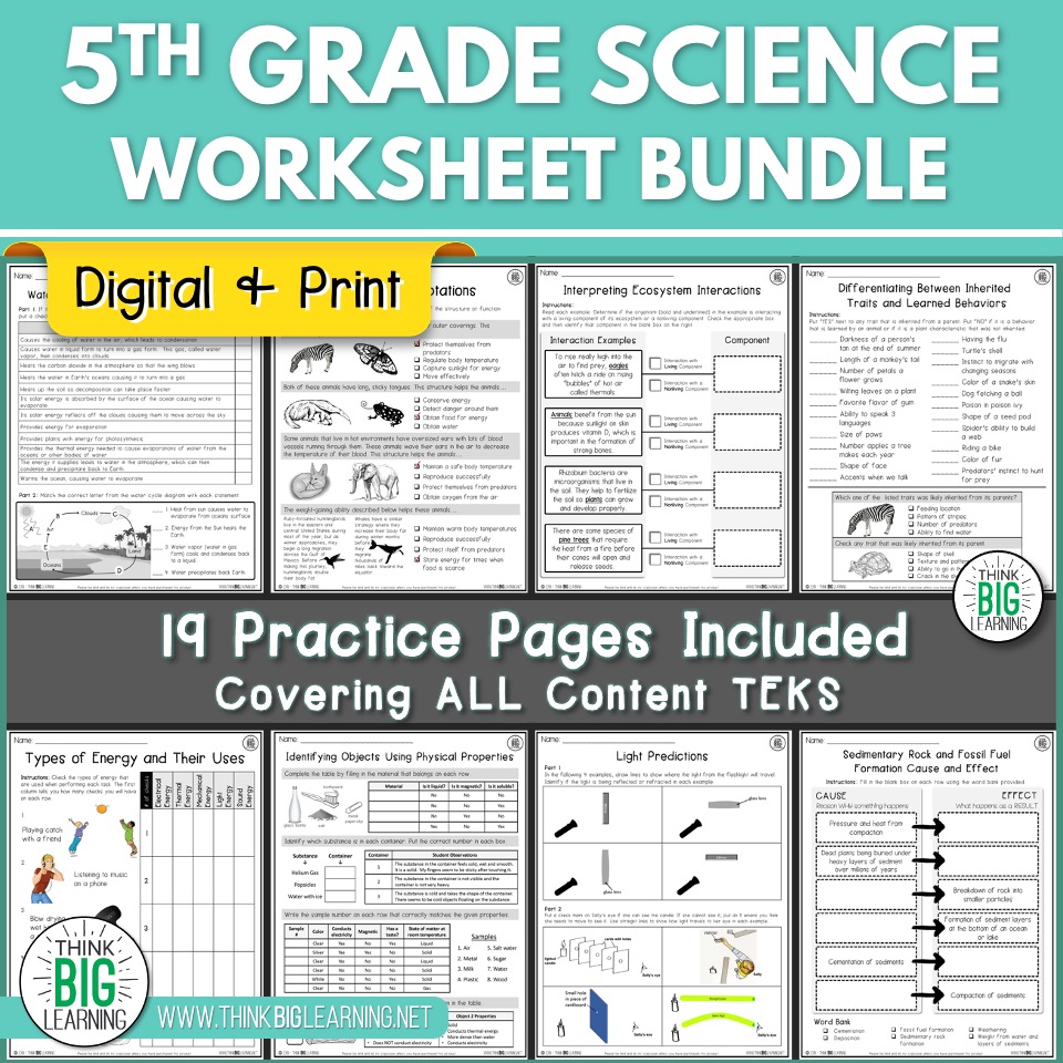 5th Grade Science STAAR Review Worksheets Bundle - Digital and ...