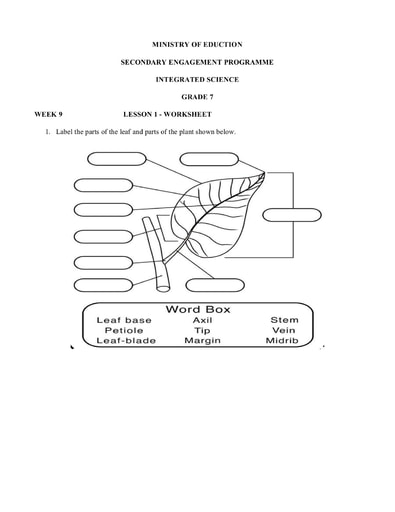 Grade 7 - Worksheets - Integrated Science