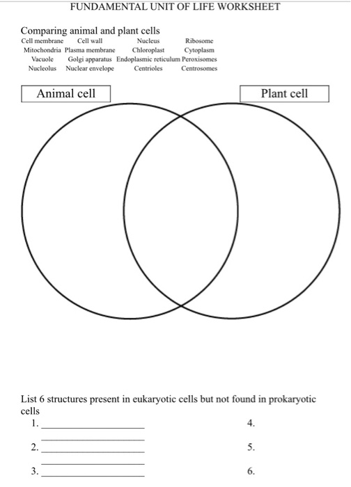 Solved FUNDAMENTAL UNIT OF LIFE WORKSHEET Comparing animal | Chegg.com