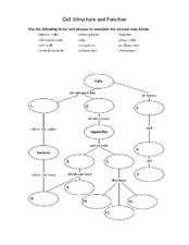 Cell Structure and Function Organizer for 7th - 10th Grade ...