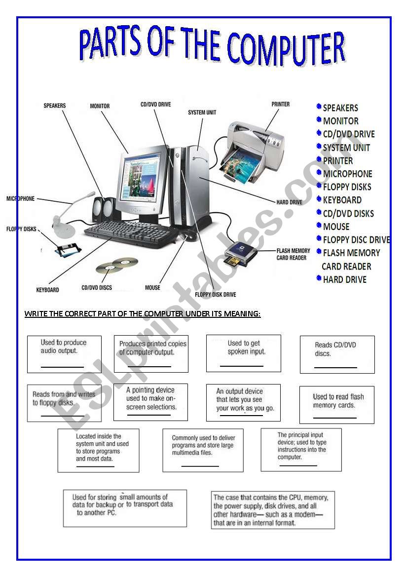 PARTS OF THE COMPUTER - ESL worksheet by silvina joaquina