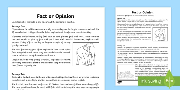 CfE Fact or Opinion Worksheet (Teacher-Made) - Twinkl
