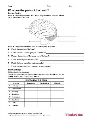 10th Grade Science Worksheets