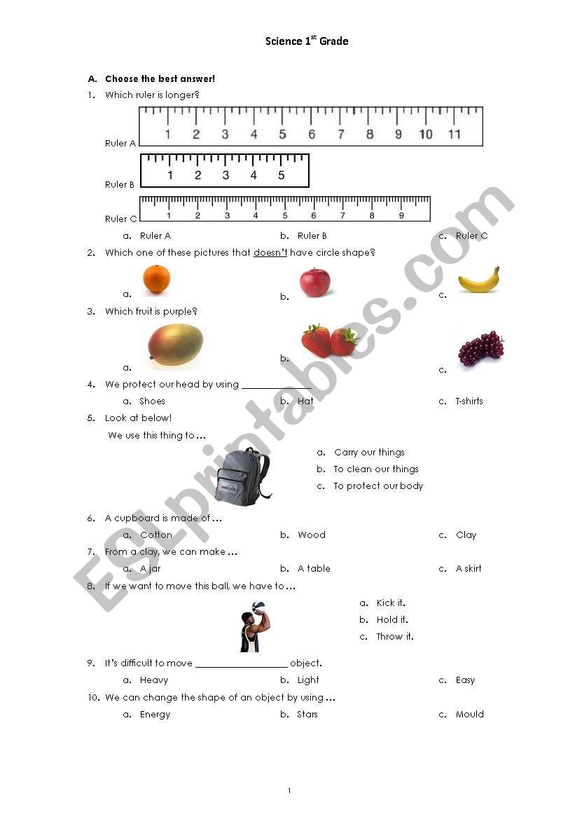 worksheet for 1st grade science
