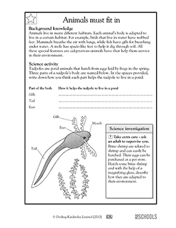 4th grade science Worksheets, word lists and activities ...