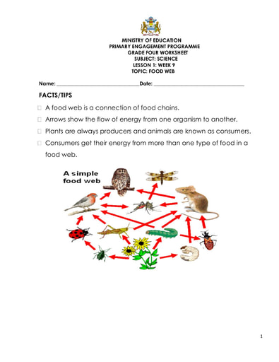 Grade 4 - Worksheets - Science