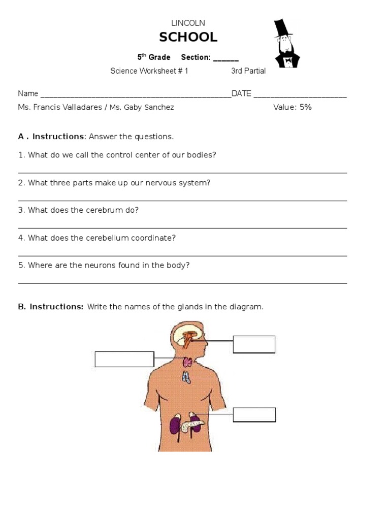 Science Worksheet 01 - 5th Grade - 3rd Partial | PDF