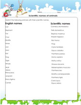 worksheet for 6th grade science