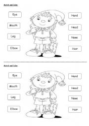 Body parts - ESL worksheet by nurreyes