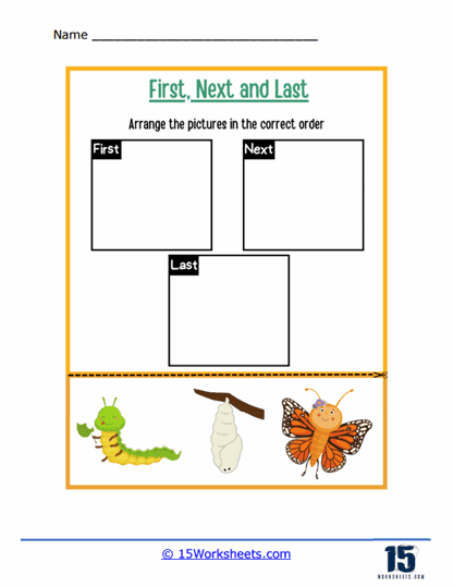 First, Next, Last Worksheets - 15 Worksheets Library
