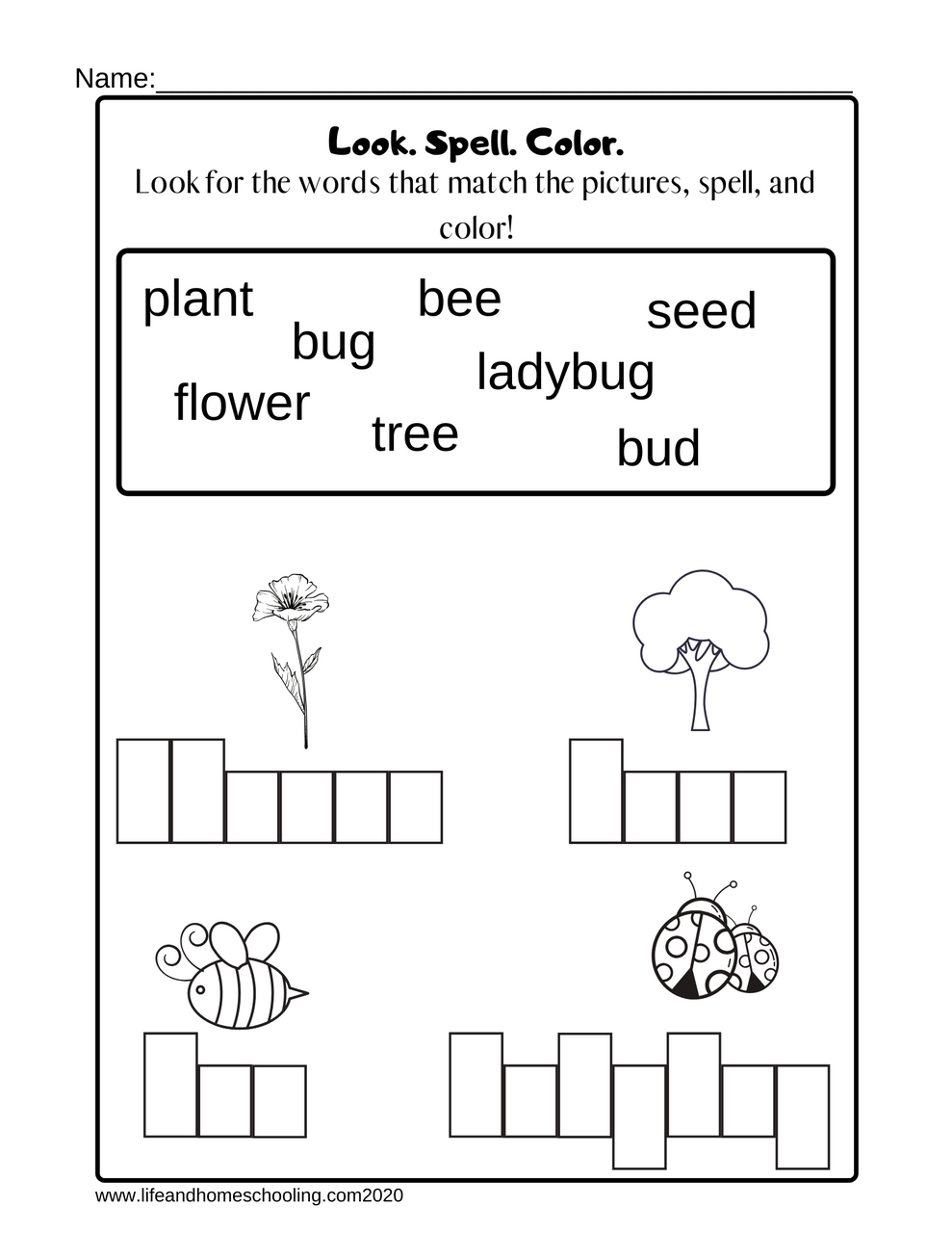 worksheet for kindergarten spelling