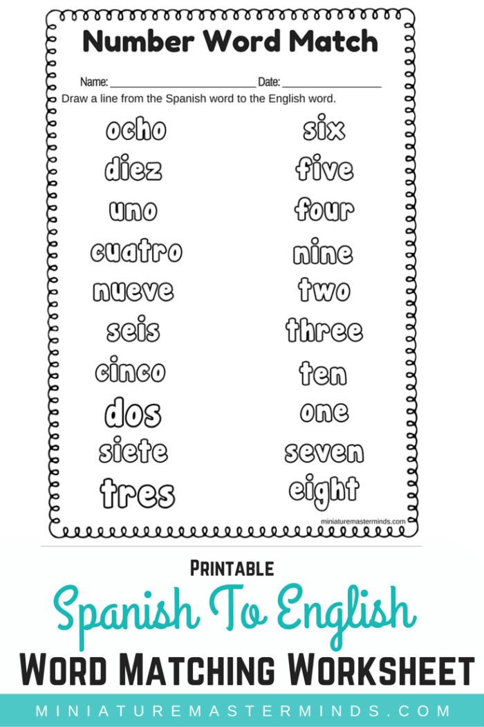 Spanish To English Word Number Matching Worksheet - Miniature ...
