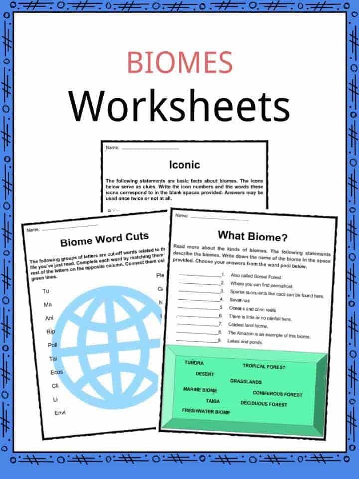 Biome Facts &  Worksheets for Kids | Characteristics, Plants &  Animals