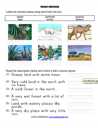worksheet on biomes