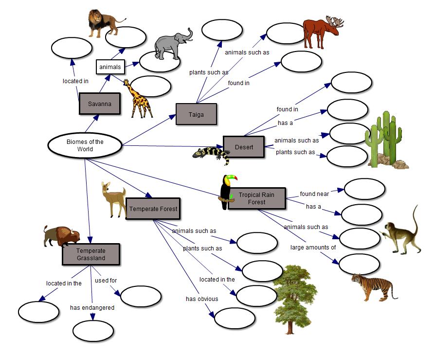 Biome Concept Map Fill in the Blank