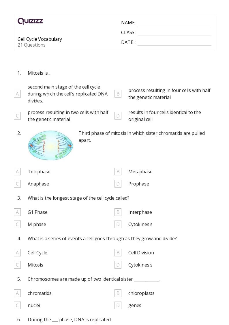 50+ structure of a cell worksheets on Quizizz | Free &  Printable