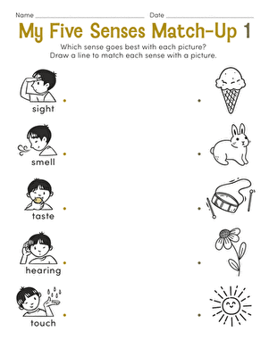 My Five Senses Match-Up 1 | Interactive Worksheet 