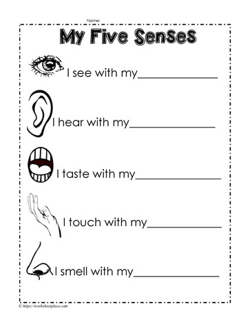 worksheet on five senses