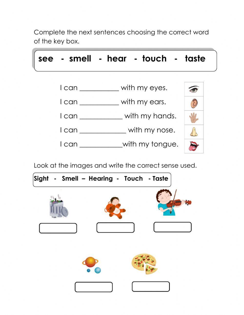 The five senses 1 worksheet  