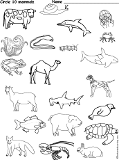 Mammal Activities, Worksheets, and Crafts - EnchantedLearning.com