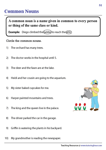 English - Class 1: Naming Words (Nouns) Worksheet 7 | WWF