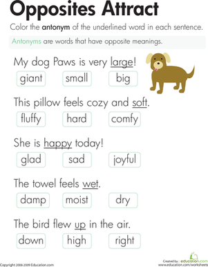 worksheet on opposites for grade