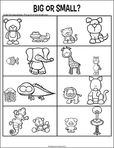 worksheet on opposites for