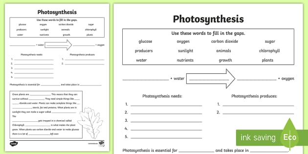worksheet on photosynthesis