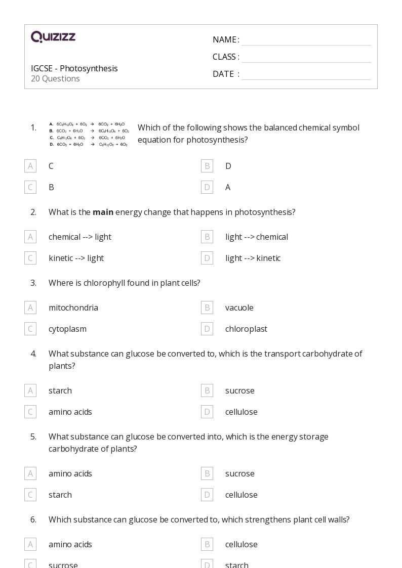 worksheet on photosynthesis