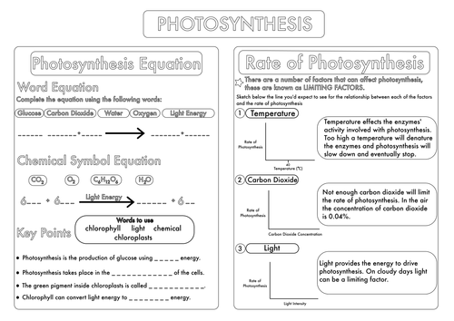 Worksheets - Photosynthesis