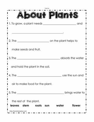 Plant Worksheet Worksheets
