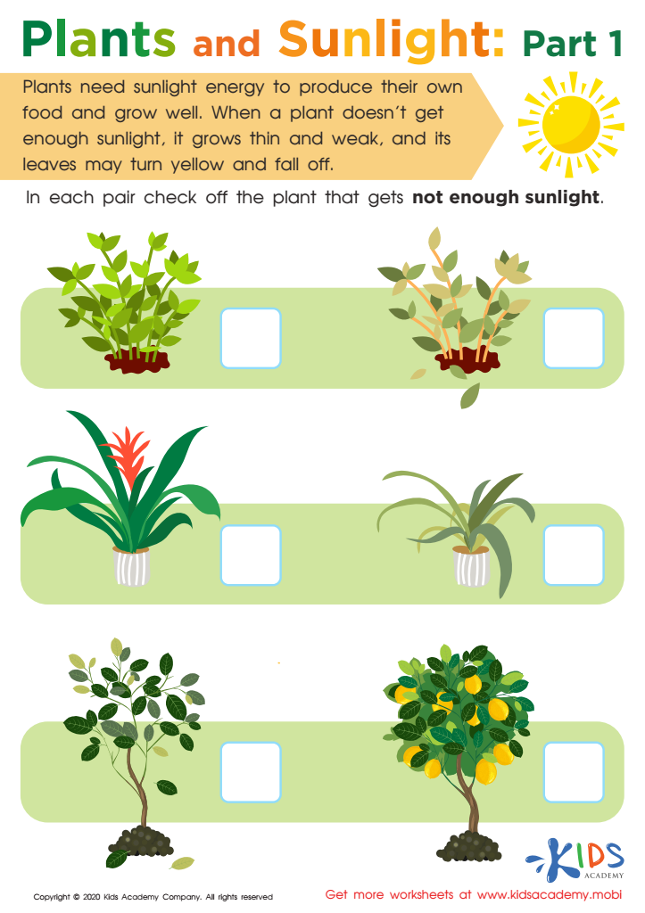 Free Plants and Sunlight: Part 1 Worksheet worksheet for Kids