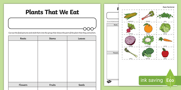 Plants We Eat Worksheet | Science | Learning Resources