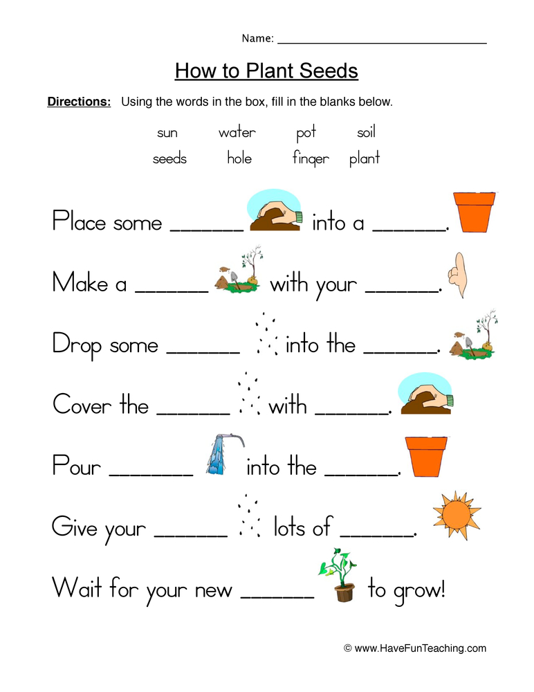 Seeds Plants Fill in the Blanks Worksheet  