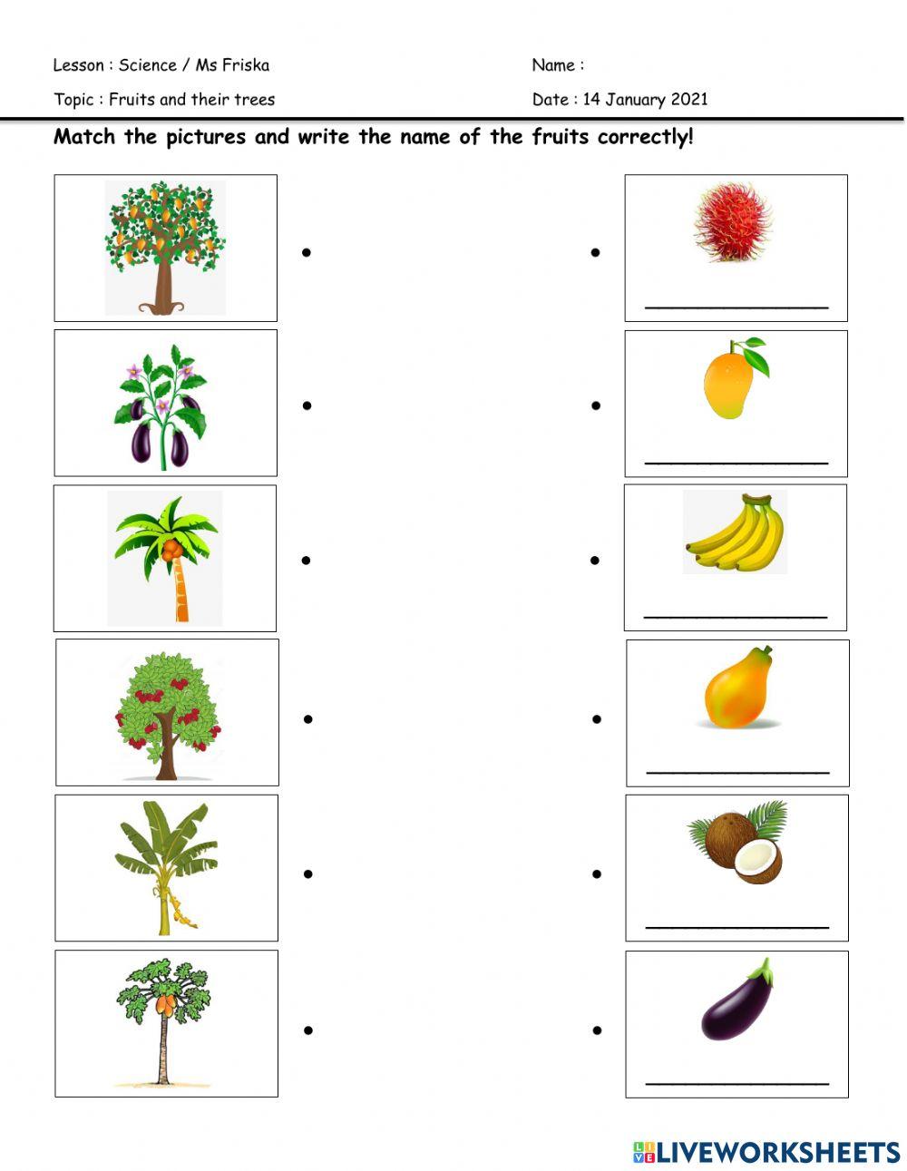 Science online exercise for preschool  