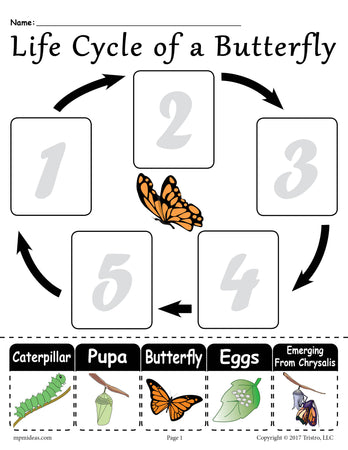85 Free Science Worksheets &  Printables