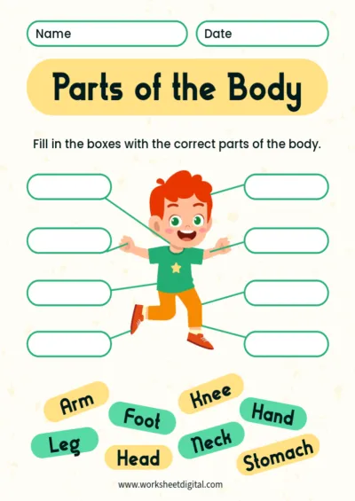 Grade 1 Science - Worksheet Digital