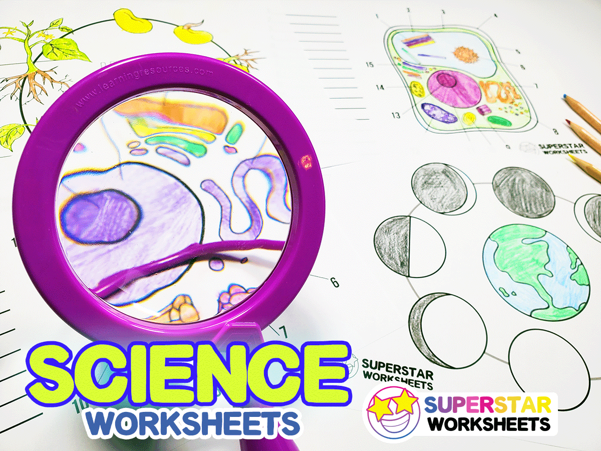 Science Worksheets -Worksheets Library