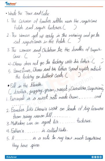 Free worksheet on the creation from www - SugarDoodle.net