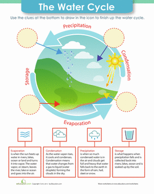 Illustrate the Water Cycle Worksheets