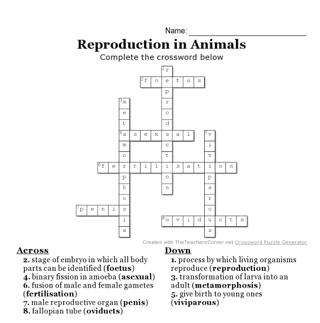 The crossword activity - THE CREATIVE AHLCONITES