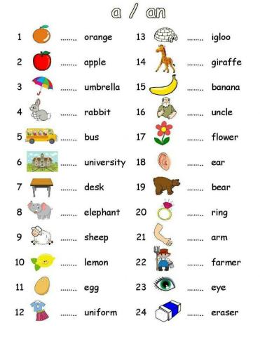 a-an interactive worksheet  