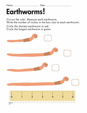 Measuring Length: Earthworms | Worksheet 
