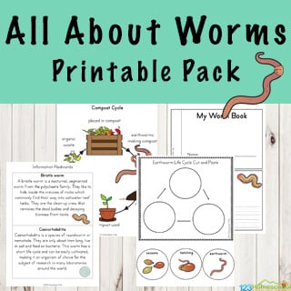 FREE Worm Worksheets