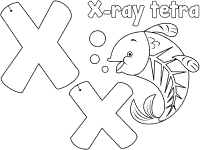 Letter x Worksheet 2