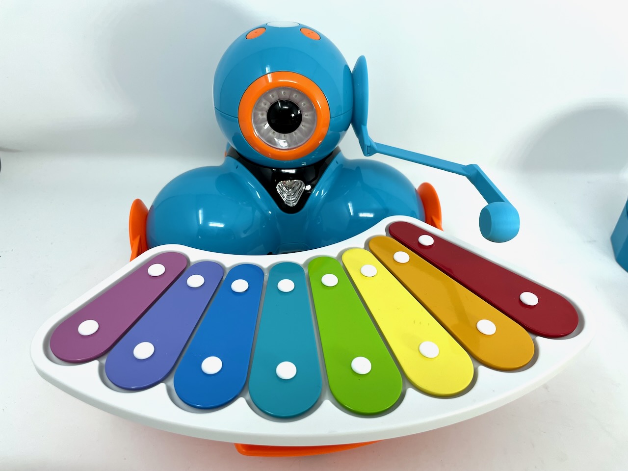 xylophone printables