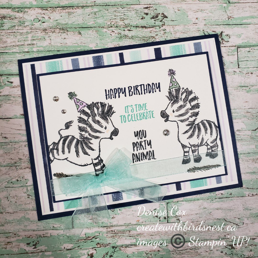 Zany Zebras • Birdsnest Designs | Denise Cox