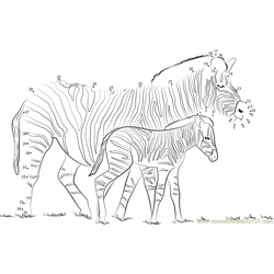 Zebra Connect the Dots Worksheets Printable for Kids