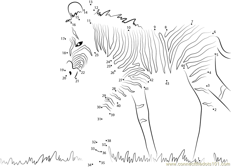 Baby Zebra Walking dot to dot printable worksheet - Connect The Dots